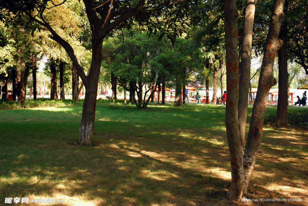 金山公园