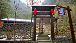 酉阳桃花源
