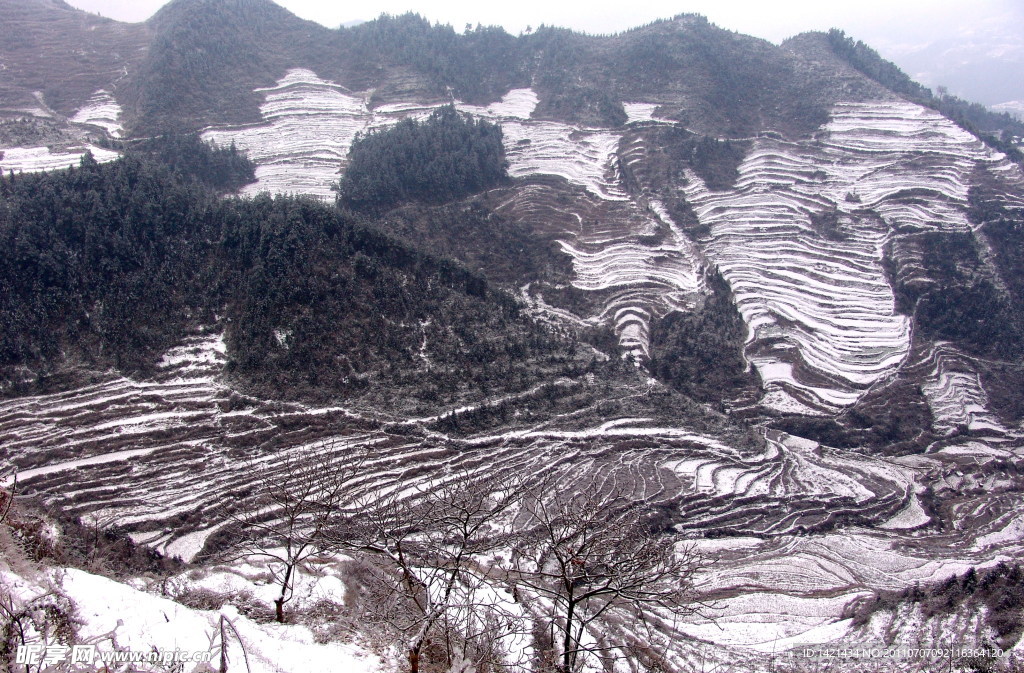 美丽雪景