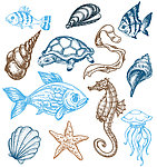 海洋生物