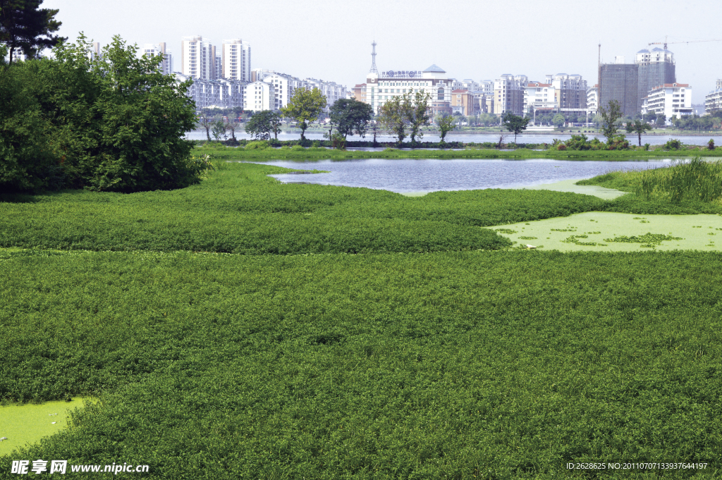 城市绿地