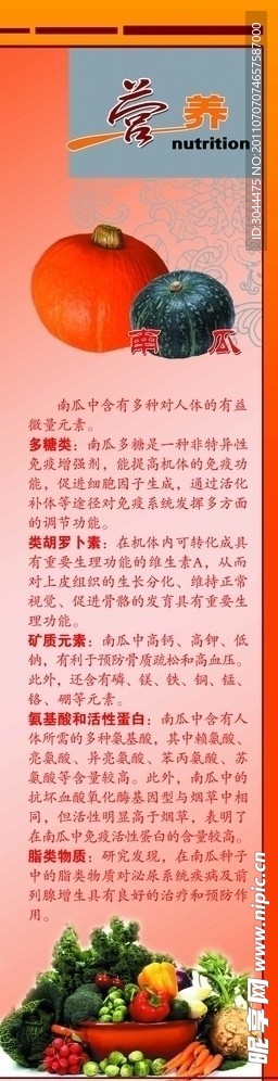 蔬菜 南瓜
