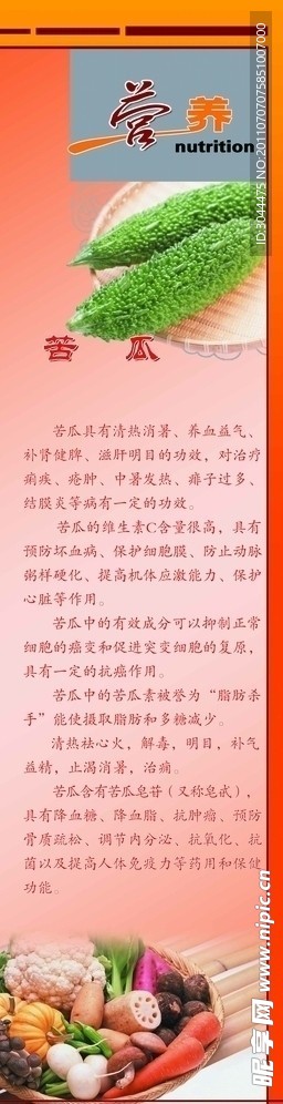 蔬菜 苦瓜