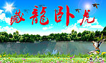 藏龙卧虎