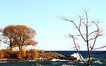 海岸美景