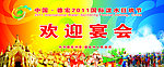 泼水节 欢迎宴会背景