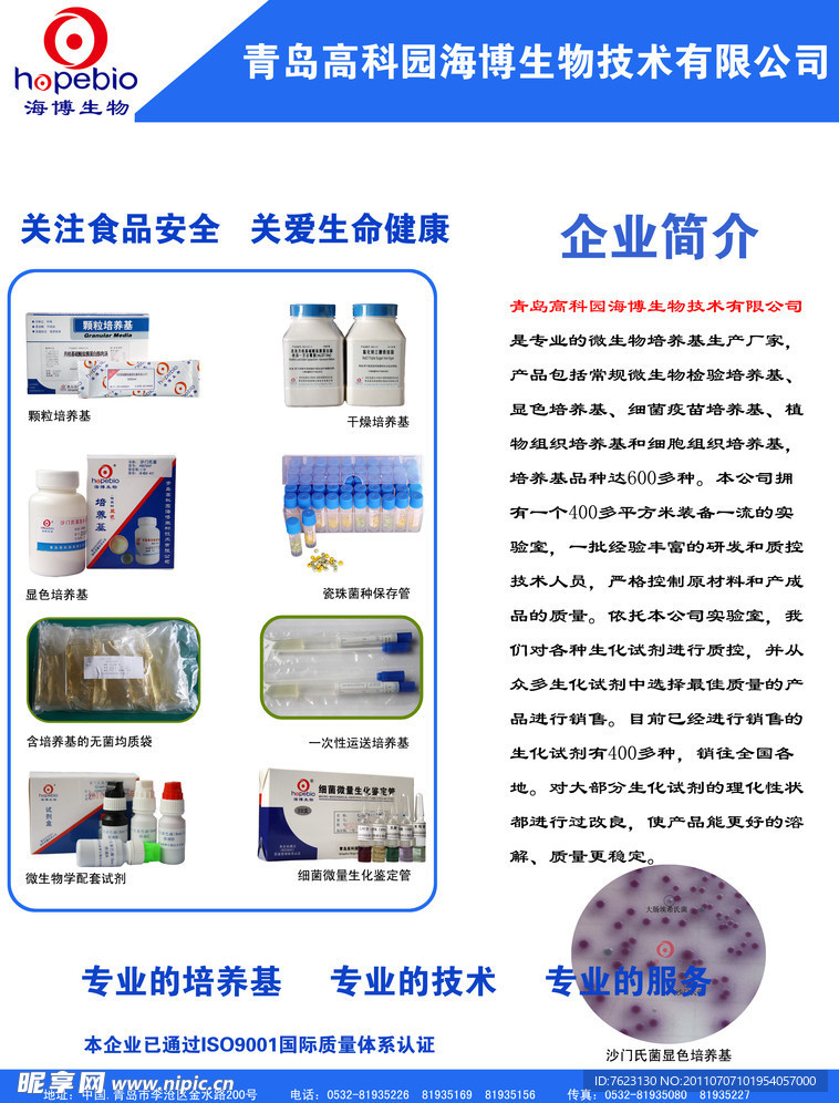 企业宣传页
