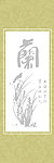 兰花