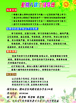 辅导班彩页