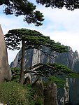 黄山风景