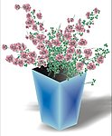瓶花