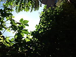 阳光叠透
