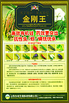 金刚王农药海报（分层不细）