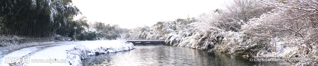 雪景