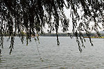 湖边景色