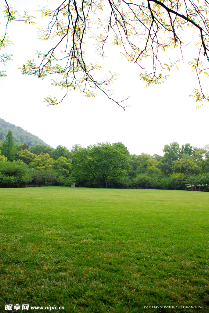 风景