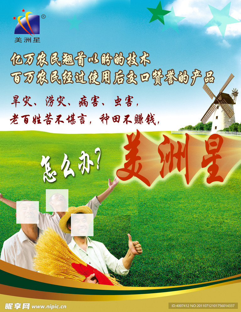 小麦单页