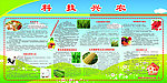 科技兴农