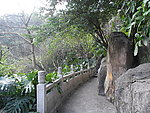 白云山