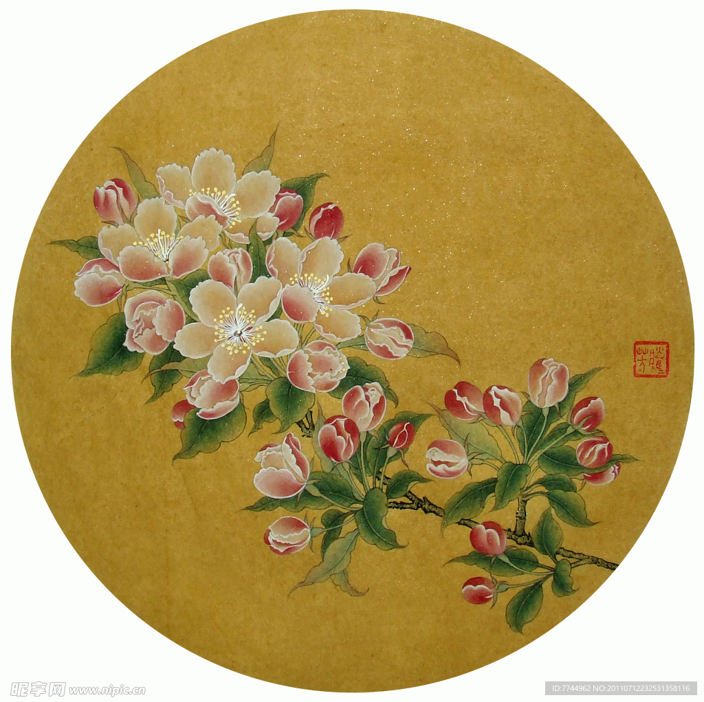 工笔海棠