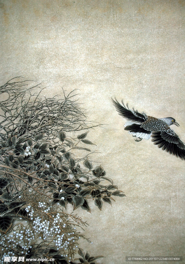 山鸟图