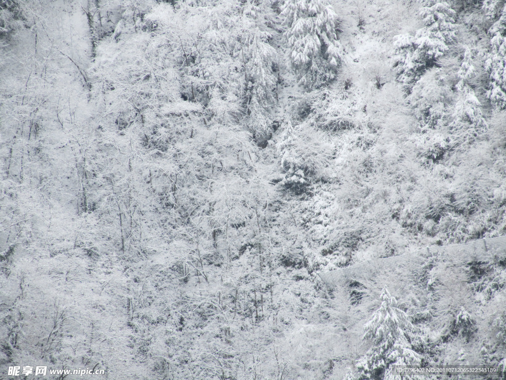 雪景