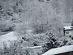 雪景