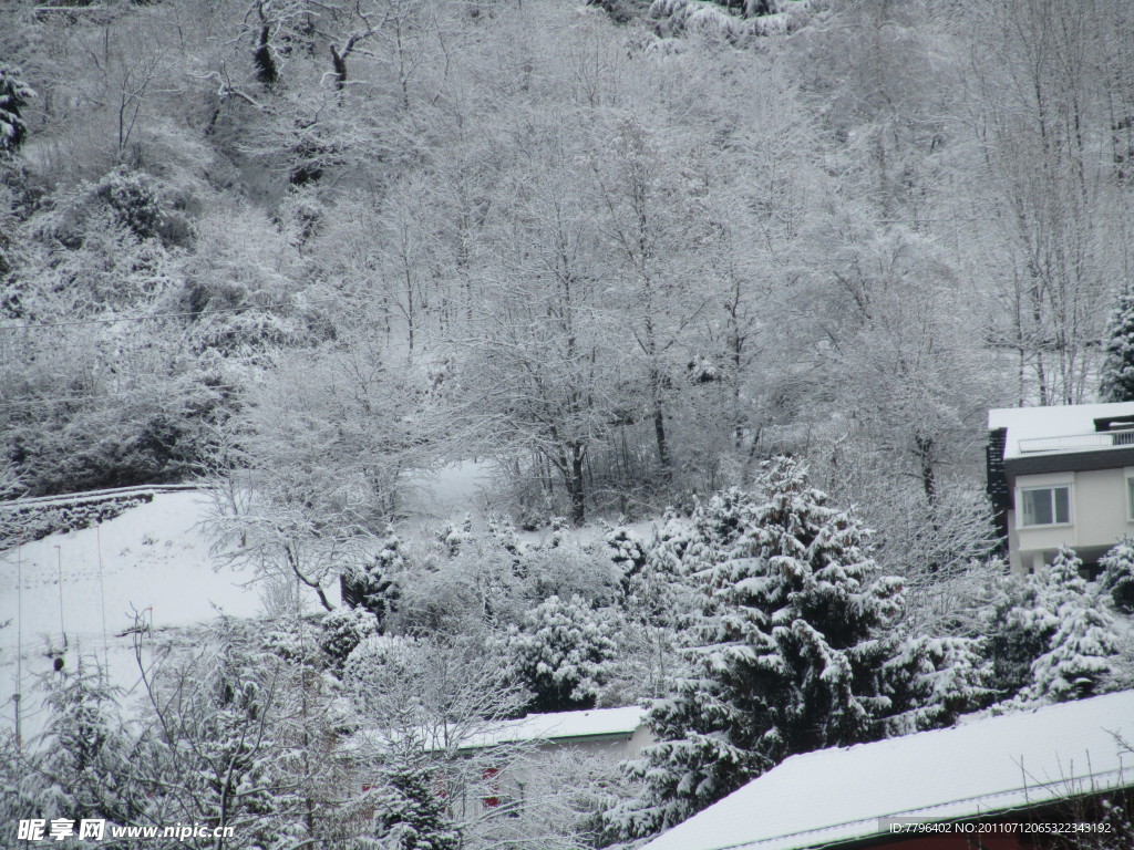 雪景