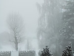 雪景