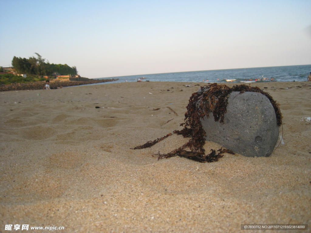 沙滩海石
