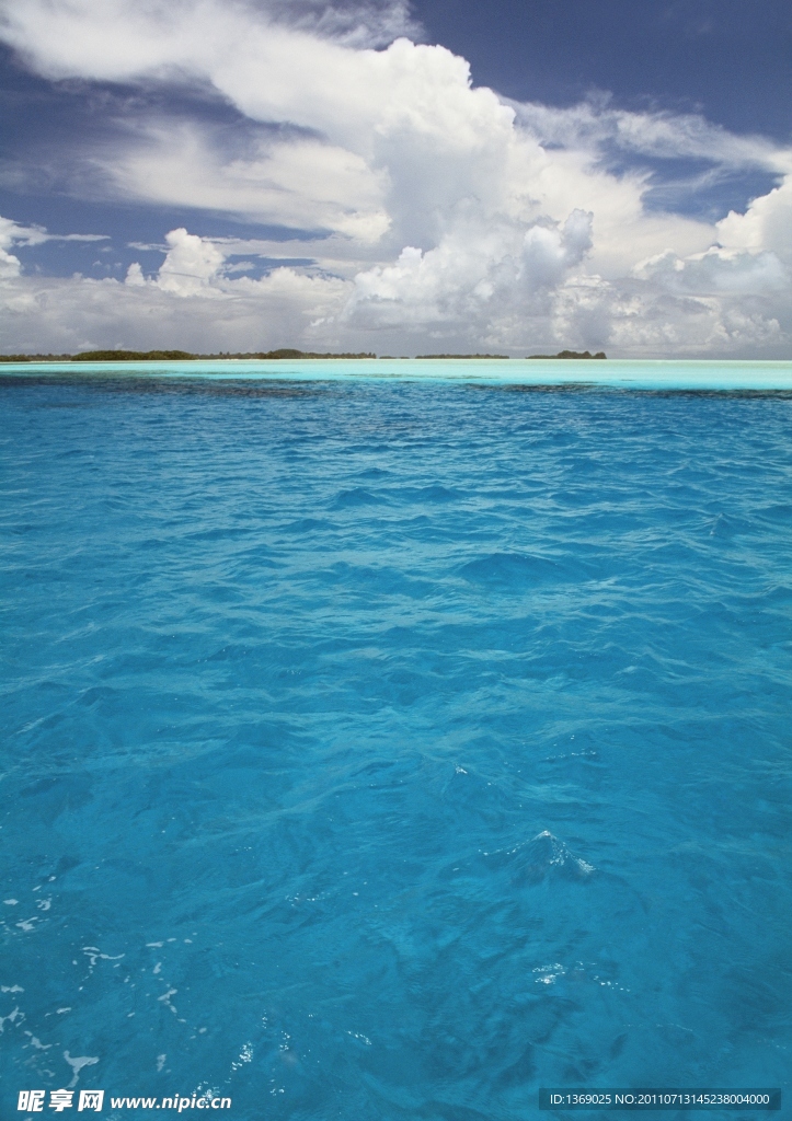 海水
