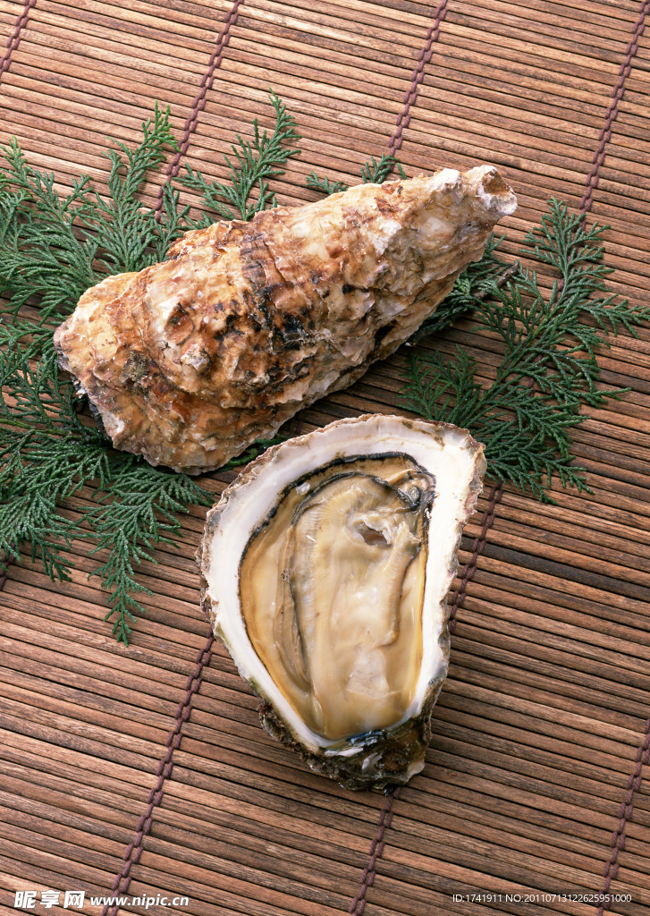 海鲜 生蚝 贝壳 海鲜食材