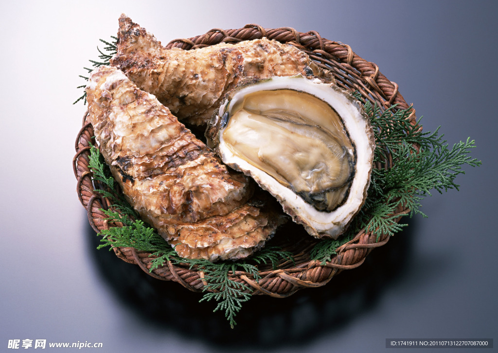 海鲜 生蚝 贝壳 海鲜食材