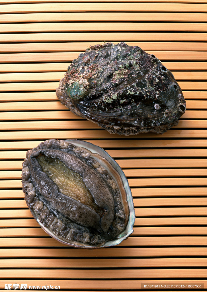 海鲜 生蚝 贝壳 海鲜食材