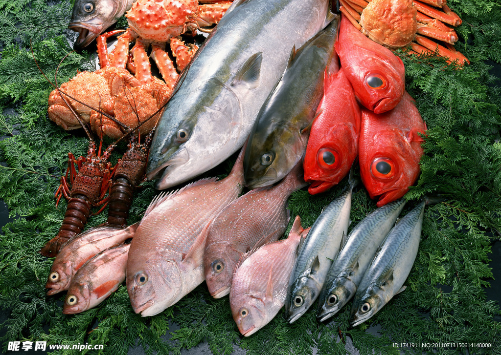 海鲜 海鱼 鱼类 海鲜食材