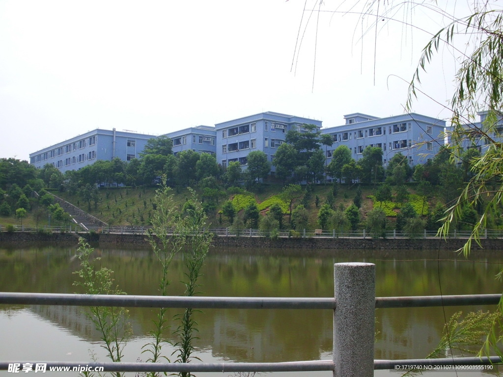 风景