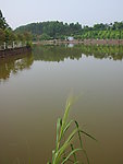 湖水