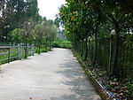 路边