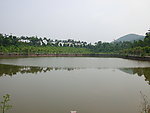 池塘