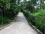小路