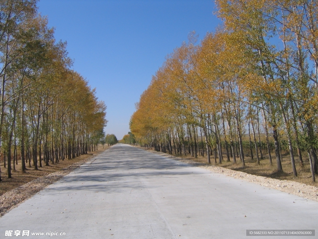 通乡公路