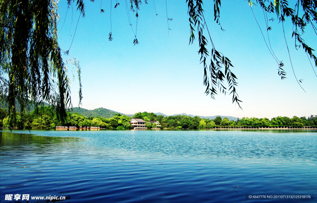 西湖翠柳