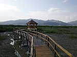 云霄红树林