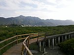 云霄红树林