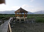 云霄红树林
