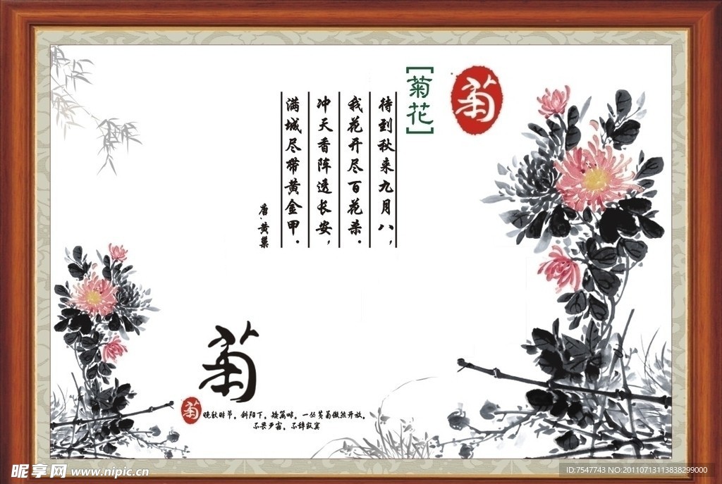 国画菊花
