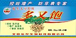 多又饱
