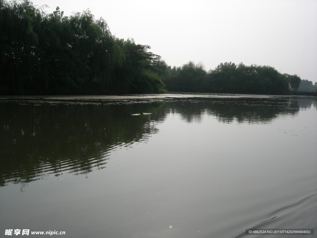 溱湖 湿地