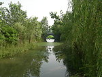 溱湖 湿地