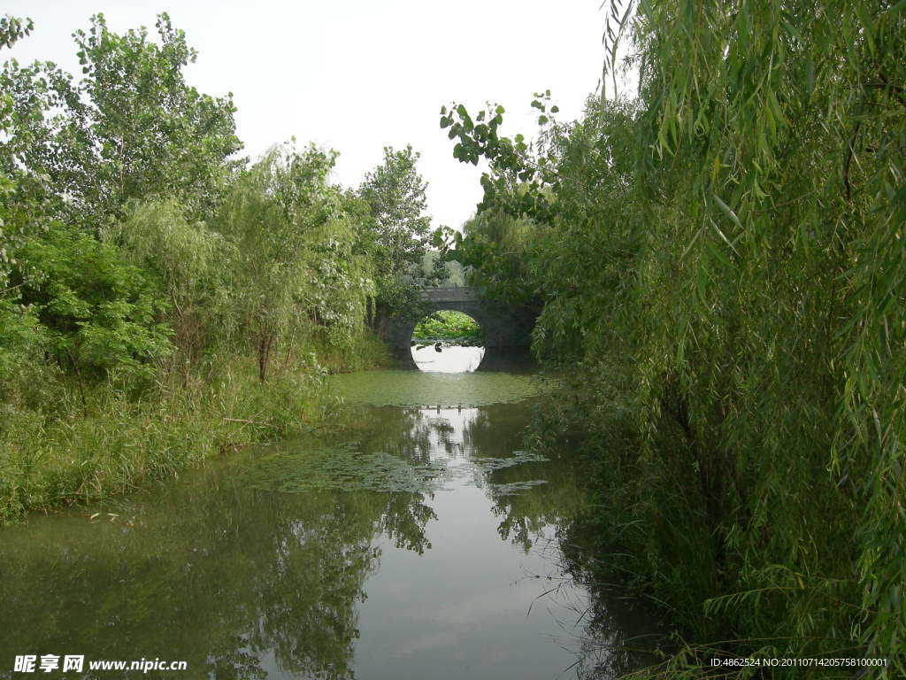 溱湖 湿地